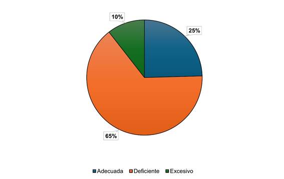 Gráfico, Gráfico circular

Descripción generada automáticamente