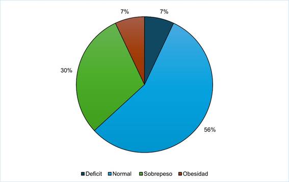 Gráfico, Gráfico circular

Descripción generada automáticamente