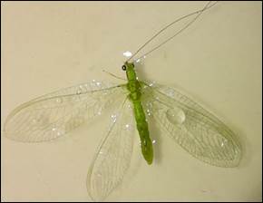 Imagen que contiene lentes, alimentos, tabla

El contenido generado por IA puede ser incorrecto.